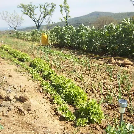 Διαμέρισμα Casale In Maremma Pancole